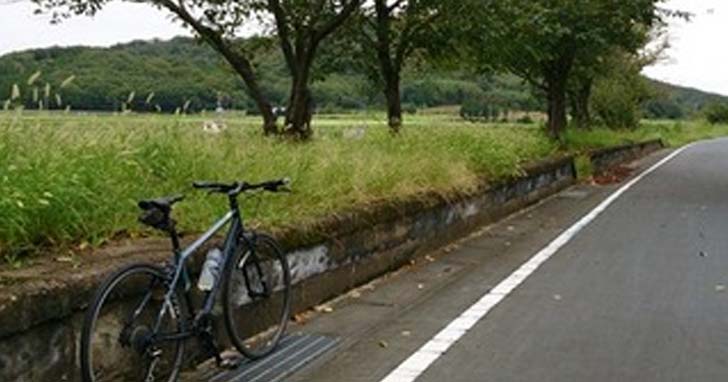 つくばりんりんロードはおすすめの輪行サイクリングコース!
