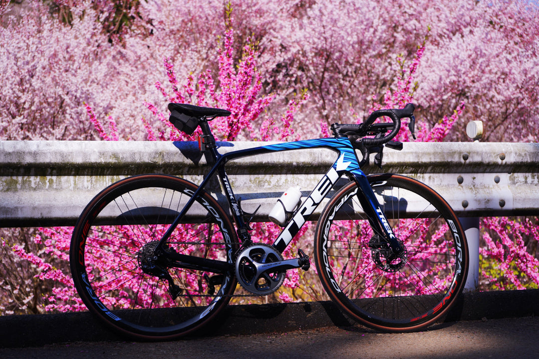 【お花見ライド】春爛漫!羊山公園の芝桜・小川町の桃源郷 feat. ヒルクライム