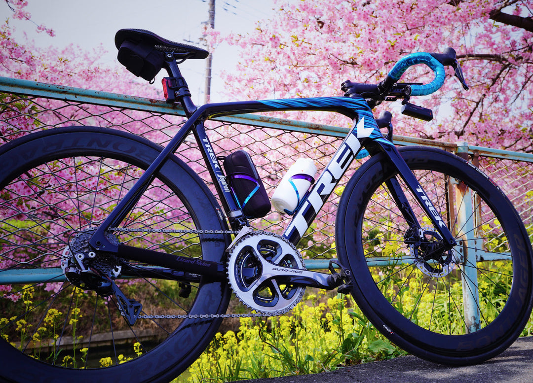 【お花見ライド】そうだ!河津桜を見に行こう〜♪ in 青毛堀川沿いの河津桜