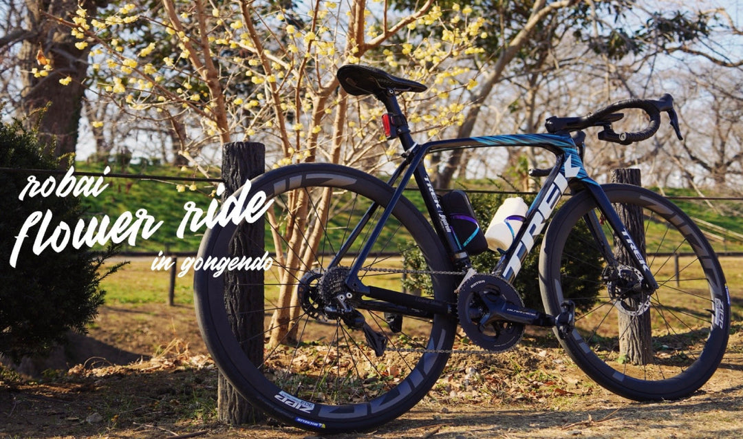 【お花見ライド】春は目の前!?春の訪れを感じに蝋梅を見に行く〜♪in 幸手権現堂