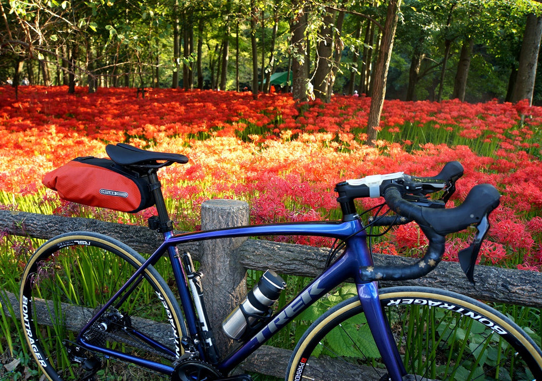 満開の曼殊沙華と愛車