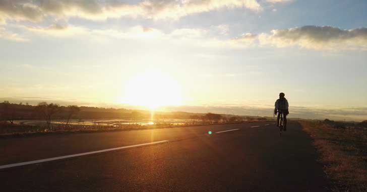 追跡!!謎の深海魚「アブラボウズ」を求め銚子島武水産へ!
