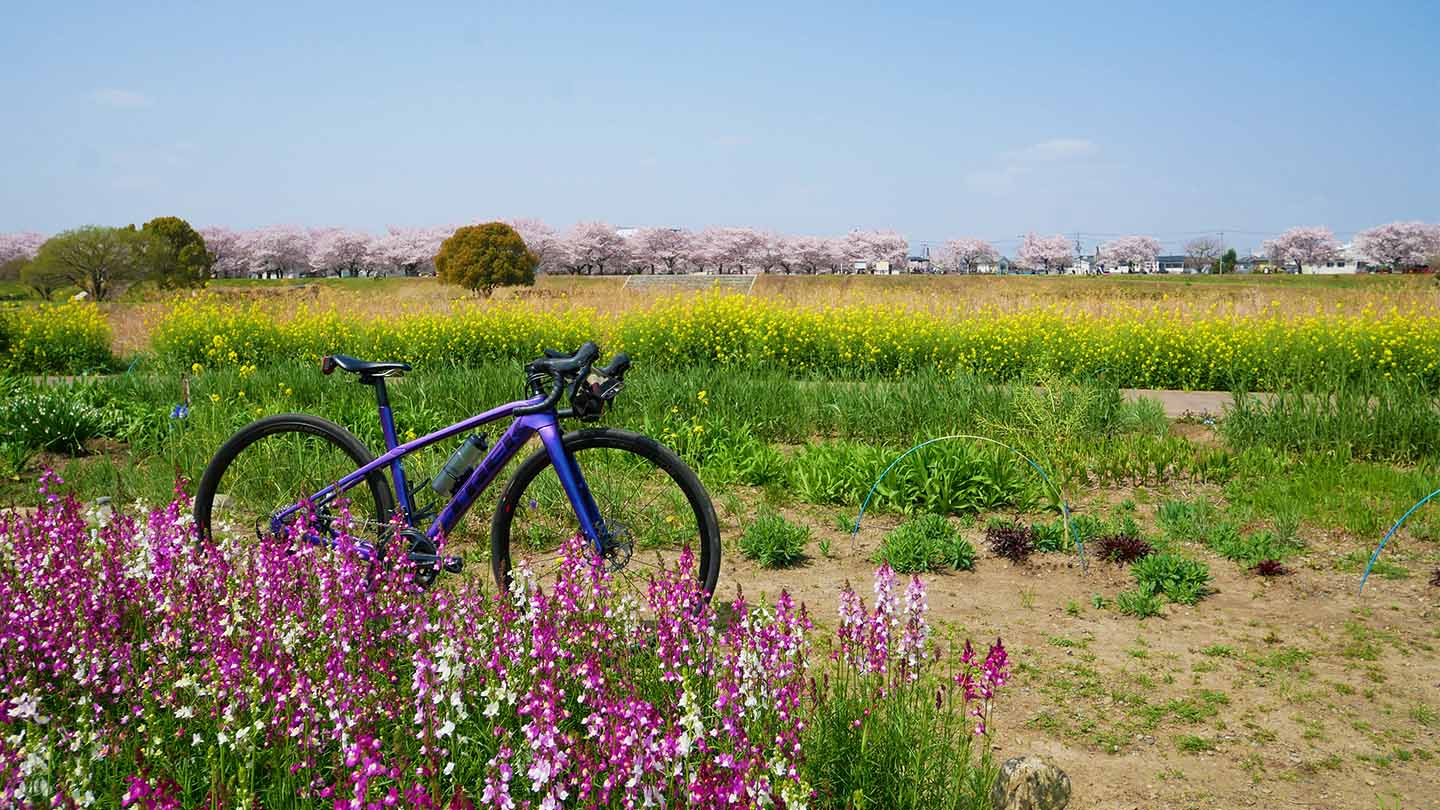 入間川サイクリングの花壇とロードバイク