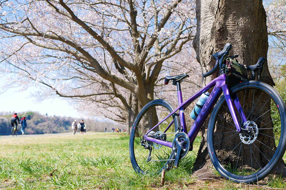 多摩川サイクリングロードの桜並木の下で撮影したロードバイク