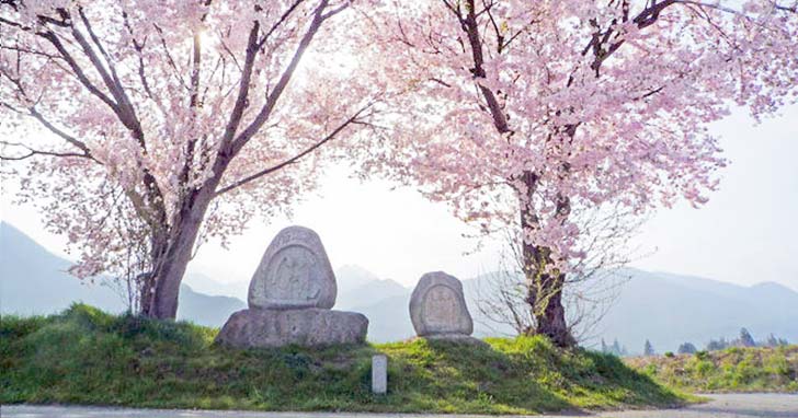 安曇野サイクリングで満開の桜の下に道祖神と出会う。