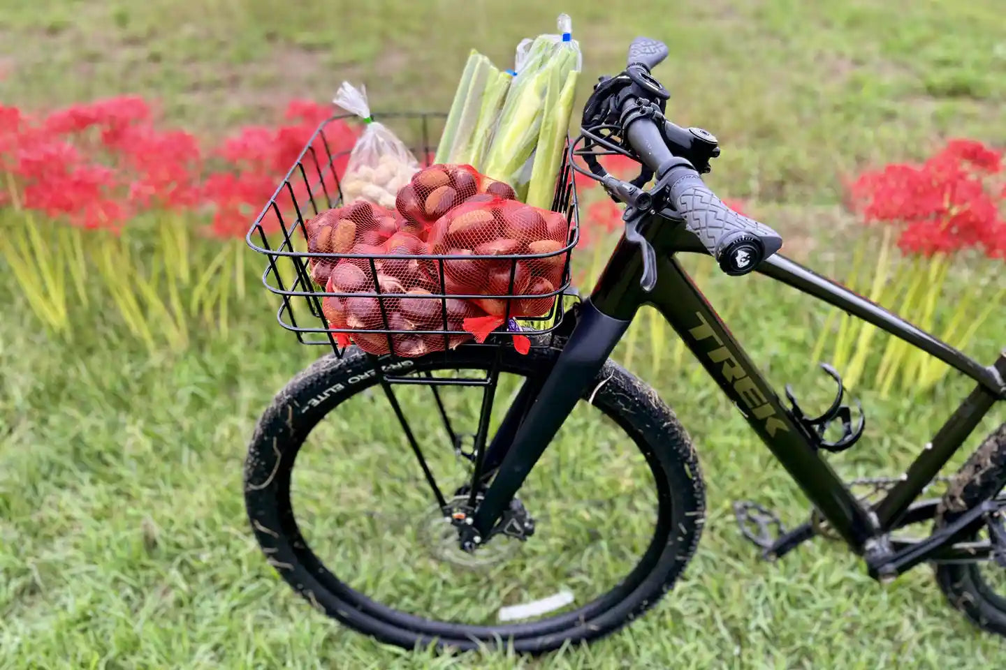 シティサイクル ブラック 前カゴ・リアキャリア付き シティバイク 黒