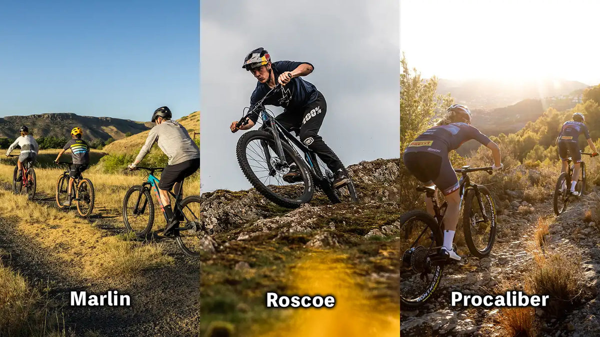 トレックの3つの人気ハードテールMTBを徹底比較