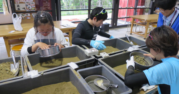 東松山で化石発掘体験