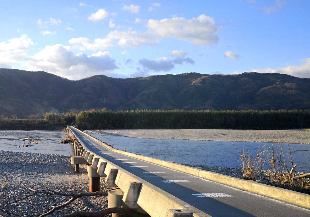 うどん県を目指す！神奈川県→香川県ロングライド4日目 南海フェリーに自転車と共に乗船