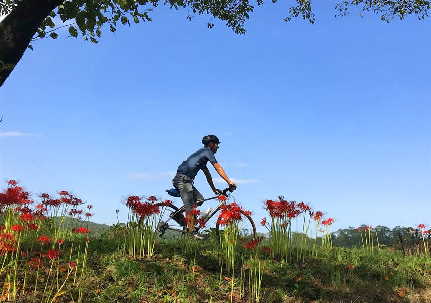 巾着田サイクリング