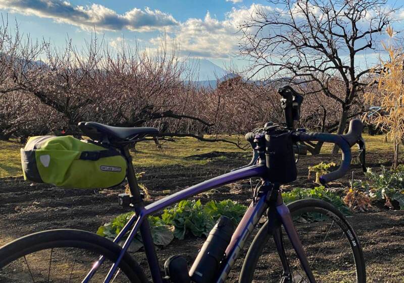 梅林と富士山と愛車