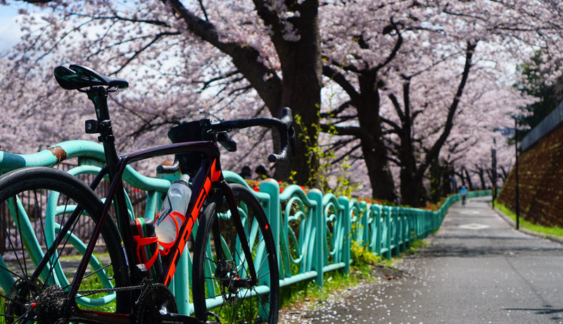 桜満開の町田さくらまつりにいってきた！（恩田川～尾根緑道）
