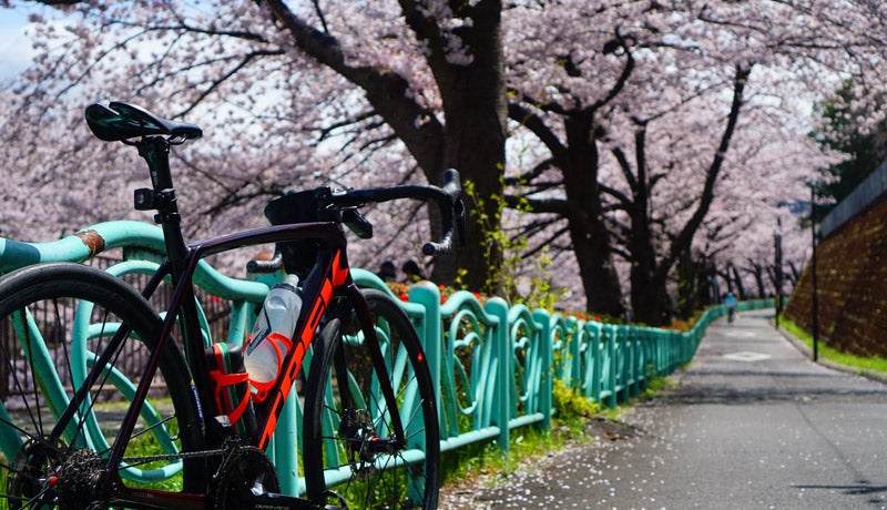 桜満開の恩田川・尾根緑道を走る！お花見サイクリング紀行