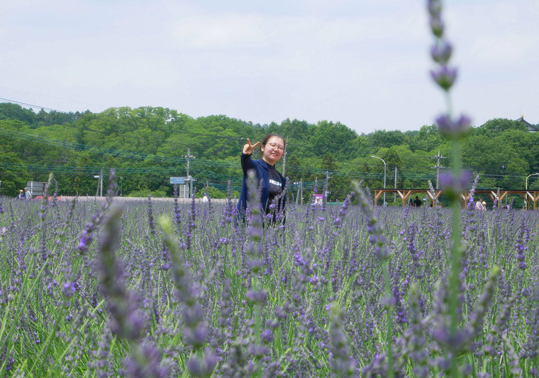 嵐山のラベンダー園へサイクリングしてきた写真