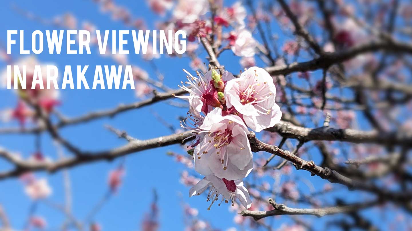 花より団子！お花見ライドIn荒川サイクリングロード