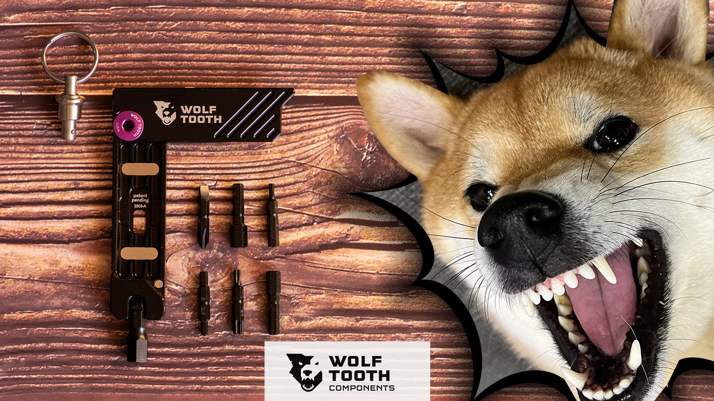 キーホルダーで持ち忘れなし！柴犬好きがハマる携帯用工具ウルフ