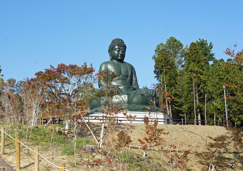 都内最大の大仏を目指して！多摩川～日の出ポタリング