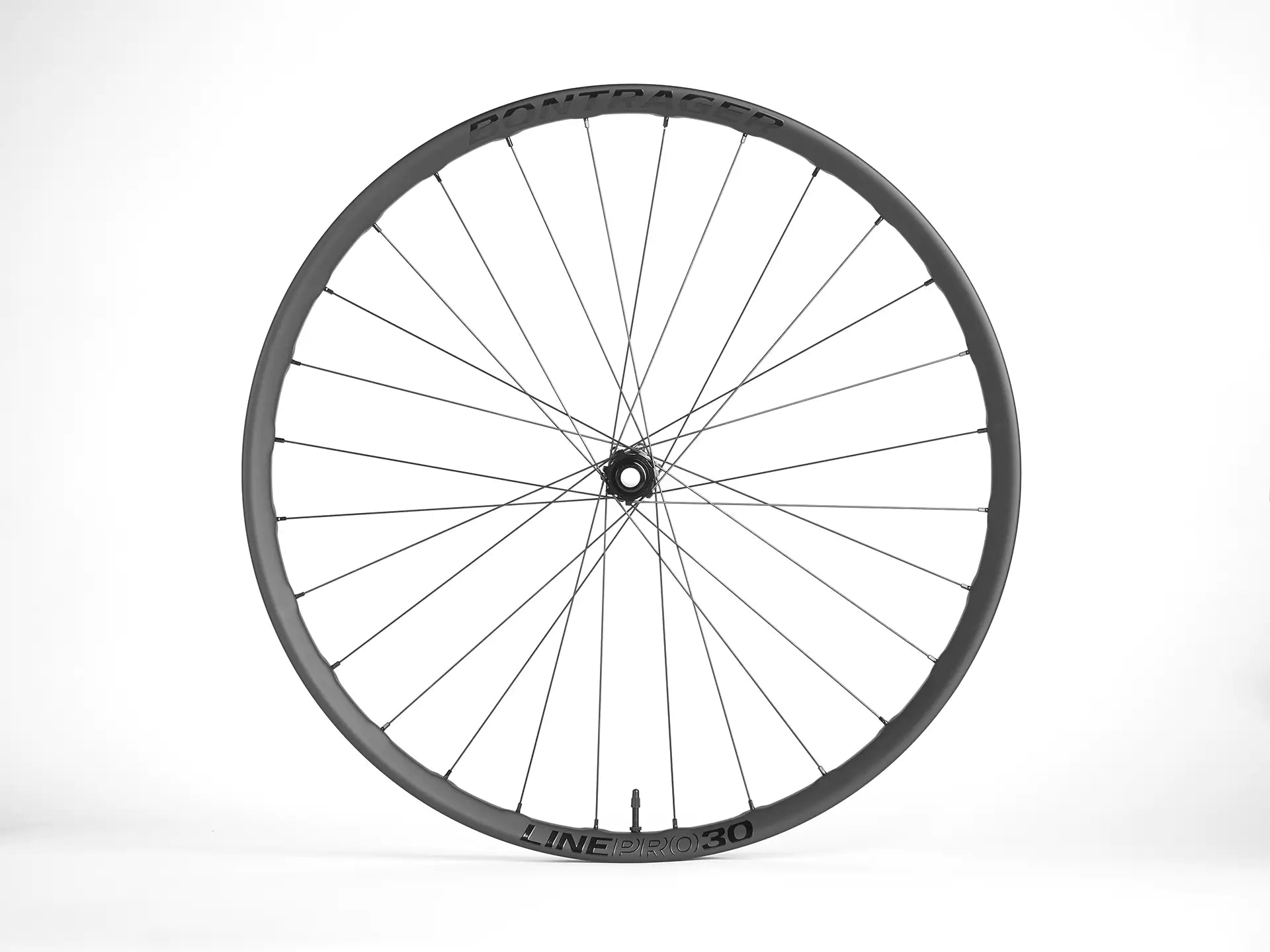 Bontrager Line Pro 30 Boost規格 29インチホイール　フロント