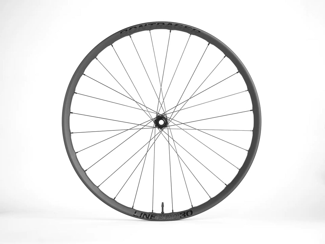 Bontrager Line Pro 30 Boost規格 29インチホイールセット フロントホイール