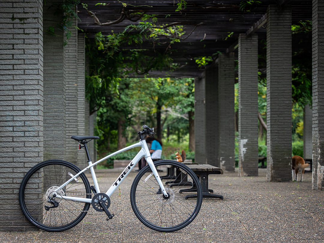 Trek（トレック）FX2 Gen4 2025年モデルのプラズマグレーパールカラーを航空公園にて撮影