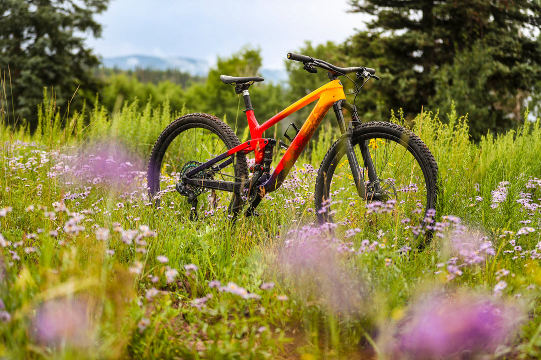 マウンテンバイクを野の花が咲き乱れている草むらで撮影した写真