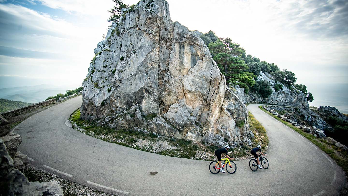 Trek Emonda モデル一覧 - ロードバイク – バイクプラス