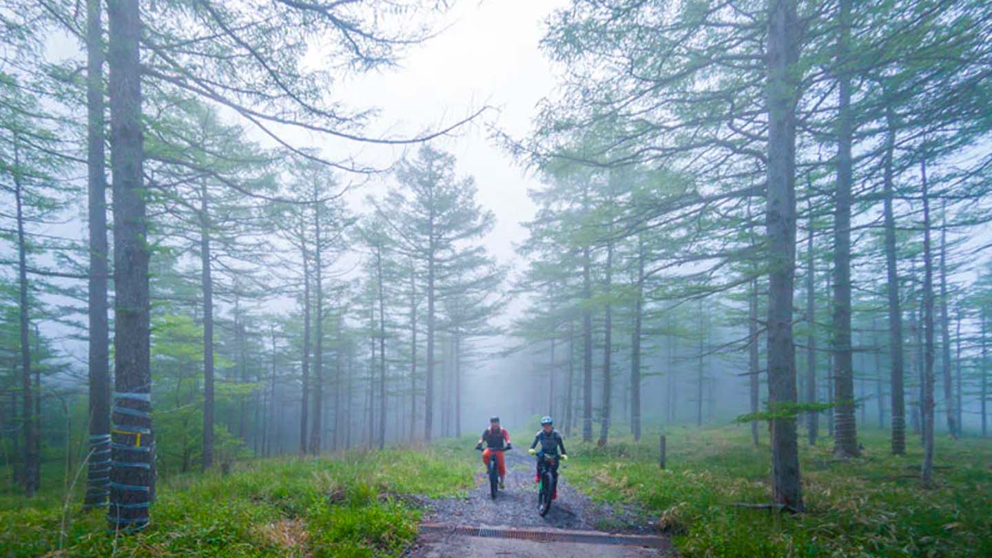 eMTBで濃い霧の唐松林の中の林道を走っている写真