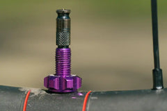 Wolf Tooth Tubeless Valve Stem Kit for Clik Valve （ウルフトゥース チューブレスバルブ クリックバルブ）パープル
