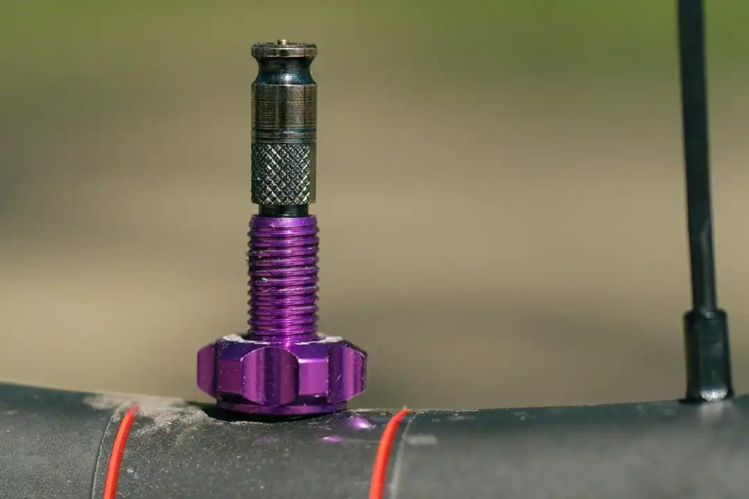 Wolf Tooth Tubeless Valve Stem Kit for Clik Valve （ウルフトゥース チューブレスバルブ クリックバルブ）パープル